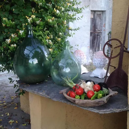 Mit Blick Auf Den Comer * Gravedona